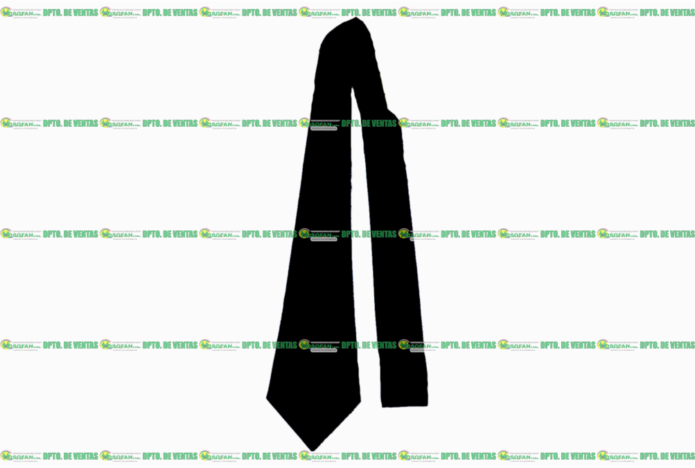 CORBATA LAZO NEGRA